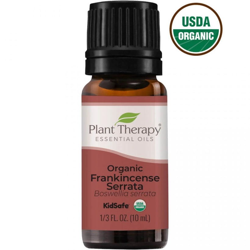 Organic Frankincense Serrata Essential Oil Blend  10ml | Plant Therapy |